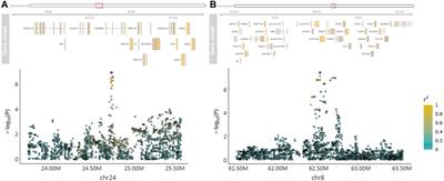 Meta-analysis of heritability estimates and genome-wide association for tick-borne haemoparasites in African cattle